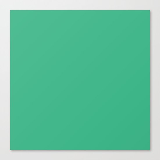 (Mint) Canvas Print