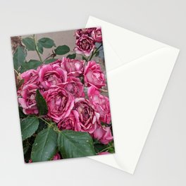Aging Stationery Cards