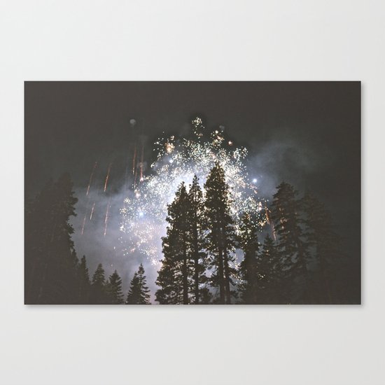 Fireworks In the night sky Canvas Print