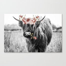 Highland Cow Landscape with Flowers Canvas Print