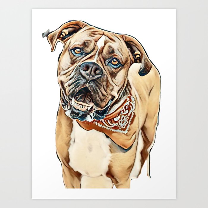 society6