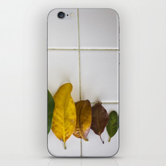 fall iPhone & iPod Skin