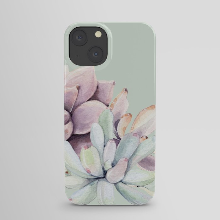 Beautiful Mint Succulents iPhone Case