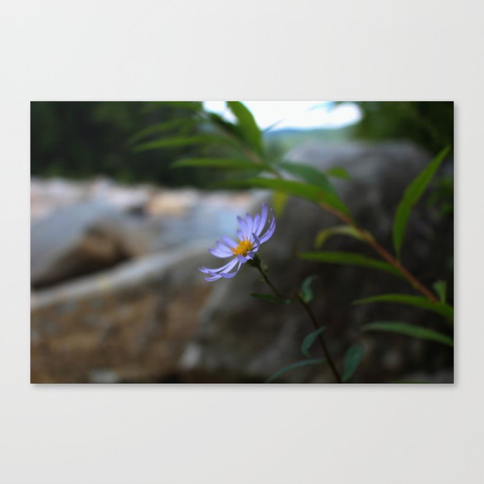 Out of Focus Canvas Print
