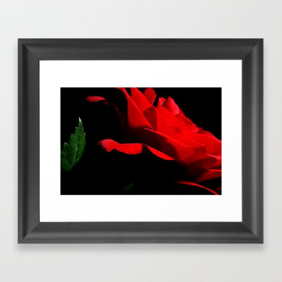 Rose. Framed Art Print