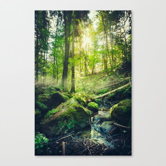 Down the dark ravine II Canvas Print