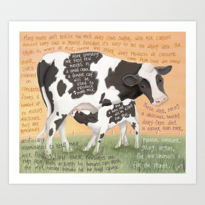 Cows 1- Holstein (Dairy) Art Print | Painting, Digital, Watercolor, Acrylic, Cows, Farm-animals, Baby-animals, Animal-welfare, Vegan-art, Vegan