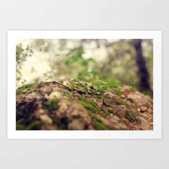 depths of the forest Art Print