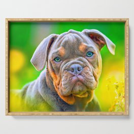 Brown And Black Puppy Bulldog Serving Tray