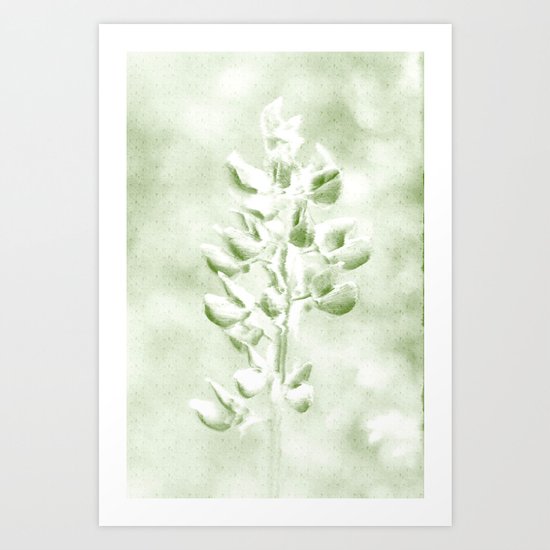 Lupine in Vintage color Art Print