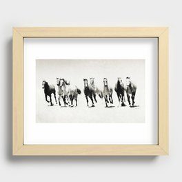 Black and White Horses Recessed Framed Print