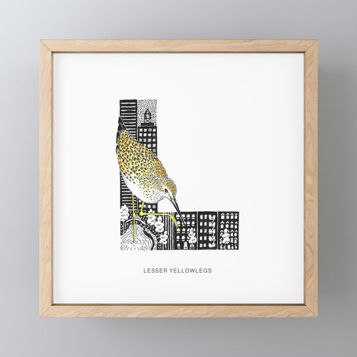 Lesser Yellowlegs - NYC Birds Alphabet Framed Mini Art Print