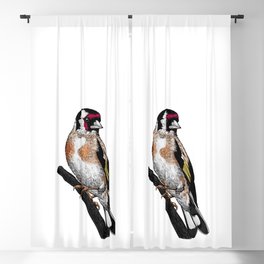 Goldfinch drawing Blackout Curtain