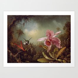Orchid With Two Hummingbirds 1871 By Martin Johnson Heade | Reproduction Art Print