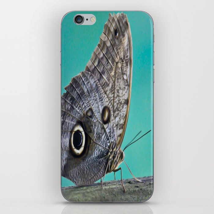 Owl Butterfly iPhone Skin