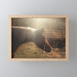 Equine Framed Mini Art Print