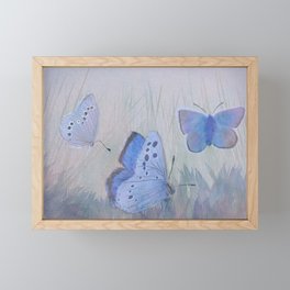 Mission Blue Butterfly Framed Mini Art Print