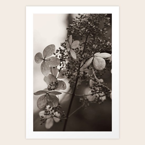 Patience Art Print