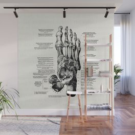 Joints of the Foot Vintage Anatomy Podiatry Illustration Wall Mural