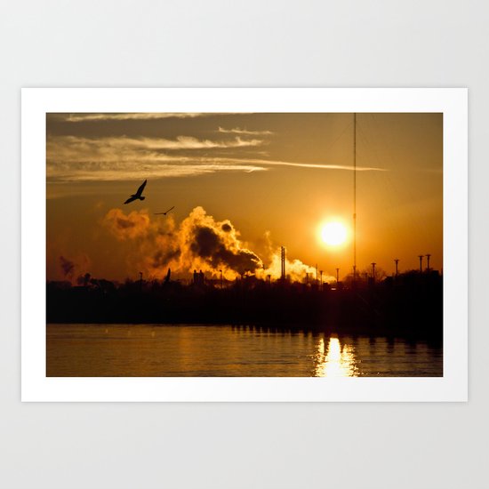 Risen to Flight Art Print