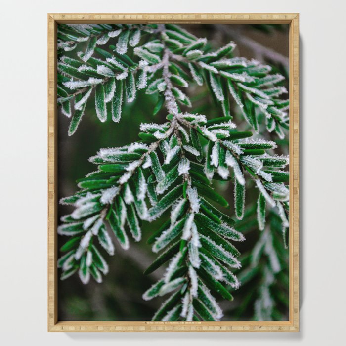 Frosted Hemlock Serving Tray