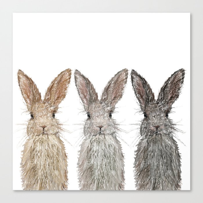 Triple Bunnies Canvas Print