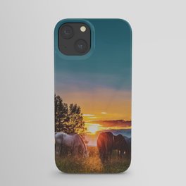 Horse Sunrise (Color) iPhone Case