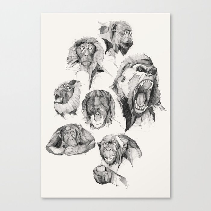 SEVEN MONKEYS Canvas Print