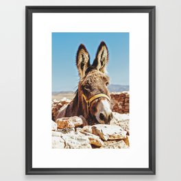 Donkey photo Framed Art Print