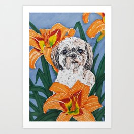 Shih-Poo with Wild Lilies Art Print