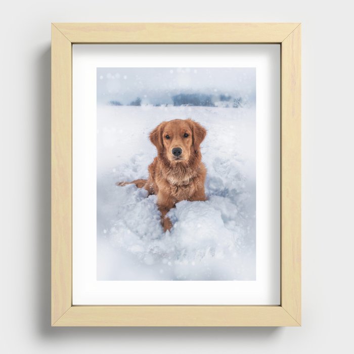 Golden Retriever Winter Recessed Framed Print
