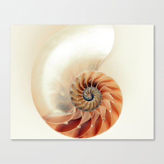 Shell of life Canvas Print