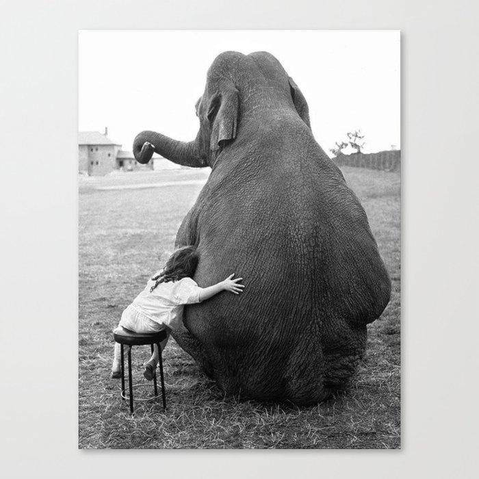 Odd Best Friends, Sweet Little Girl hugging elephant black and white photograph Canvas Print