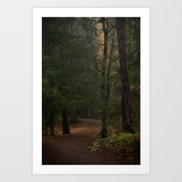 Winding Dirt Road In A Foggy Autumn Forest Art Print