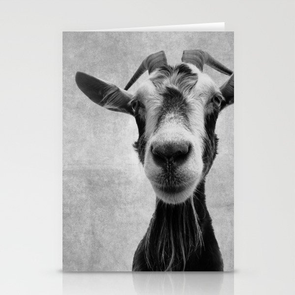 Goat Portrait in Black and White Stationery Cards