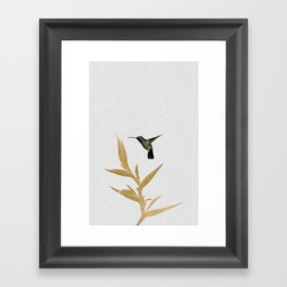 Hummingbird & Flower II Framed Art Print