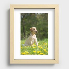 Mans Best Friend is a Dog 56 Recessed Framed Print