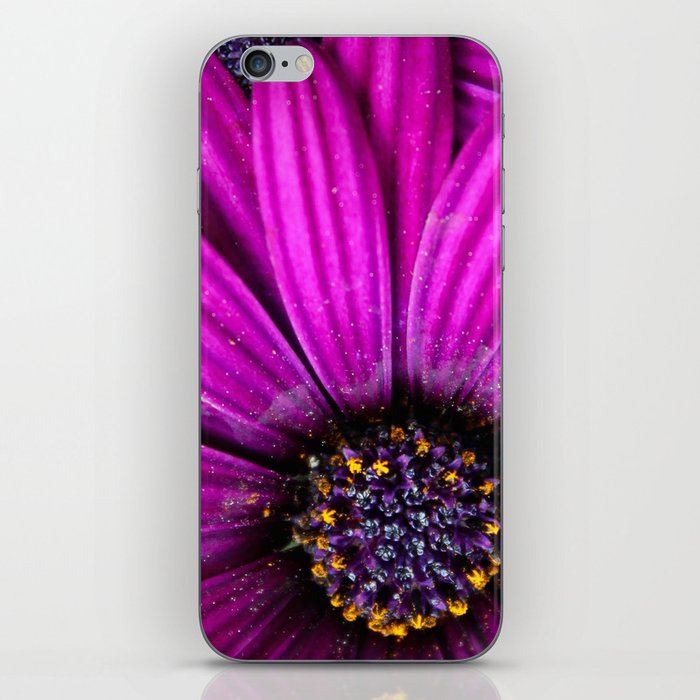 Purple Flowers  iPhone Skin