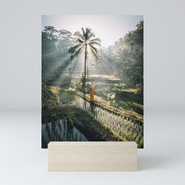 Rice Terrance Sunrise Mini Art Print