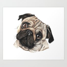 Pug Portrait Art Print