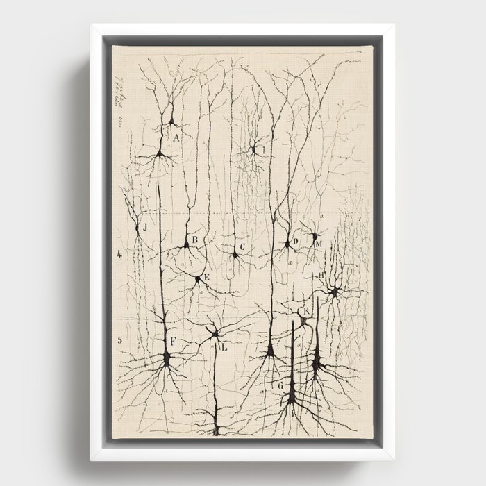 Framed Canvas