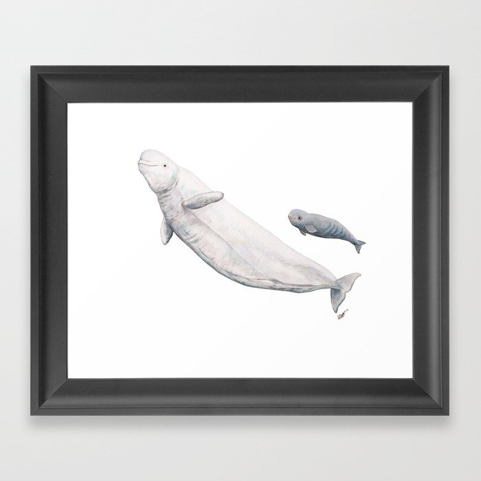 Beluga and baby beluga whale Framed Art Print