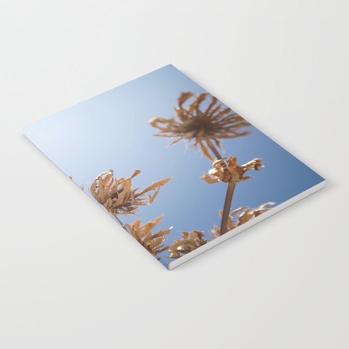 Blue Sky Notebook