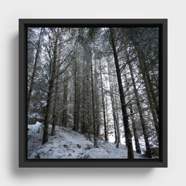 Snow Bound Nature Trail  Framed Canvas