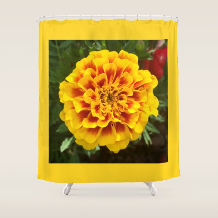 Marigold With Border Shower Curtain By Lagdameov Society6