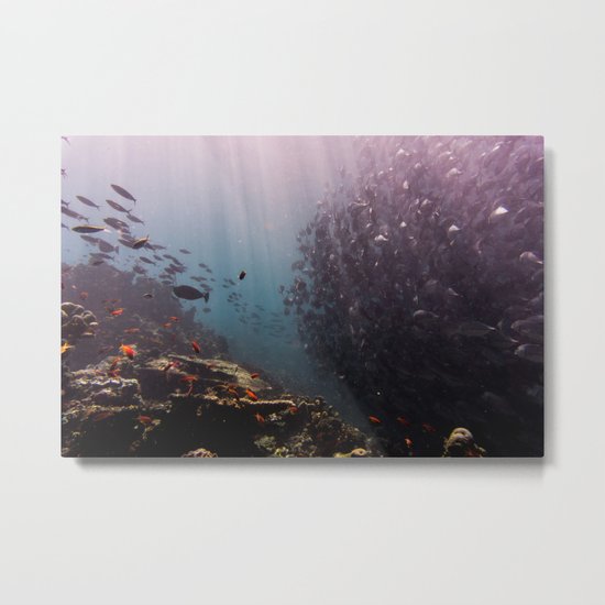 Summer School Metal Print