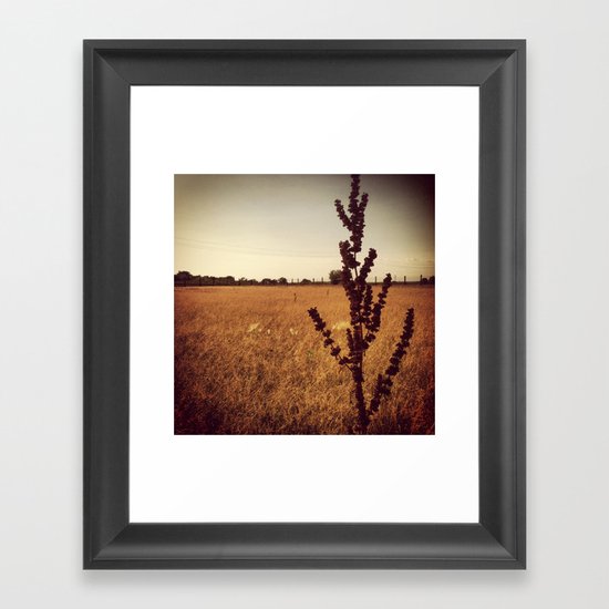 Wisconsin Prairie Framed Art Print