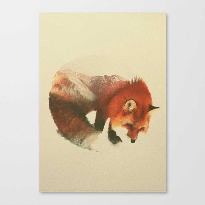 Snow Fox Canvas Print