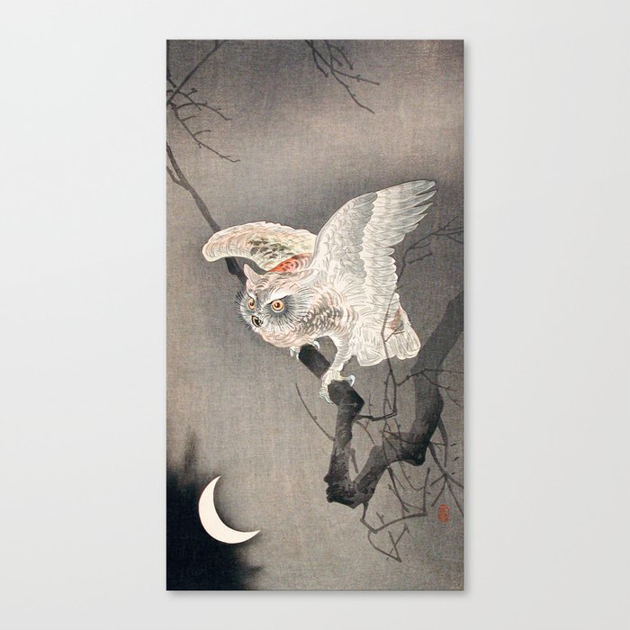 Vintage Japanese Painting Of Owl  Canvas Print
