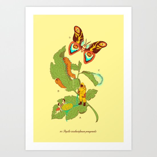 Papilio insulaeinfanum praegrandis Art Print